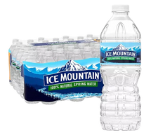 Ice Mountain Natural Spring Water – 10 cases (400 Bottles, 16.9 oz)